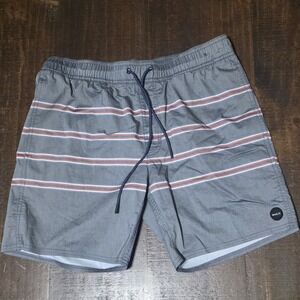 RVCA Shorts Mens Size S Grey Heathered Retro Stripe Hybrid Walk Casual Beach S